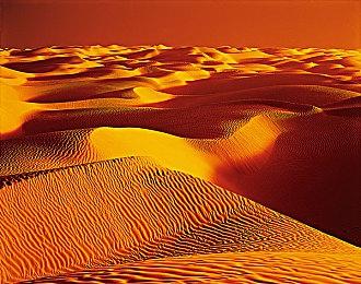 科隆：冒险新作《碧波之下》公布 美丽动人的水下世界