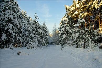 一键叫船快捷方便 《星空》遥控飞船MOD发布